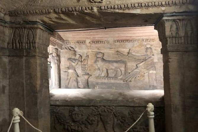 Customizable Private Day Tour to Alexandria From Cairo - Additional Information