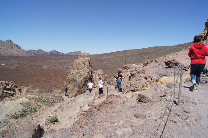 Customizable Private Excursion for Cruises in Santa Cruz De Tenerife - Traveler Photos