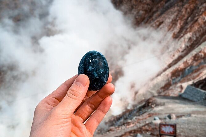 Customizable Private Full Day Hakone Tour by car - Who Will Love This Tour?