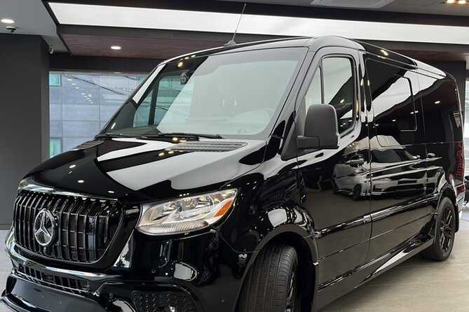 Customizable Private Seoul Tour in Luxury Van for VIP - Booking and Payment