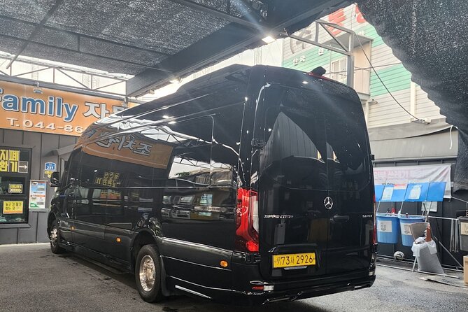 Customizable Private Seoul Tour in Luxury Van for VIP - Accessibility Information