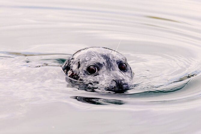 Customizable Private Tour in Ketchikan With Pick up - Traveler Photos and Reviews