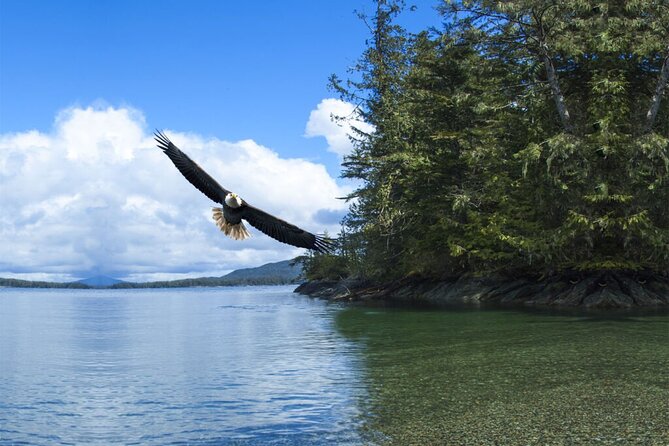 Customizable Private Tour in Ketchikan With Pick up - Luxury Transportation Service