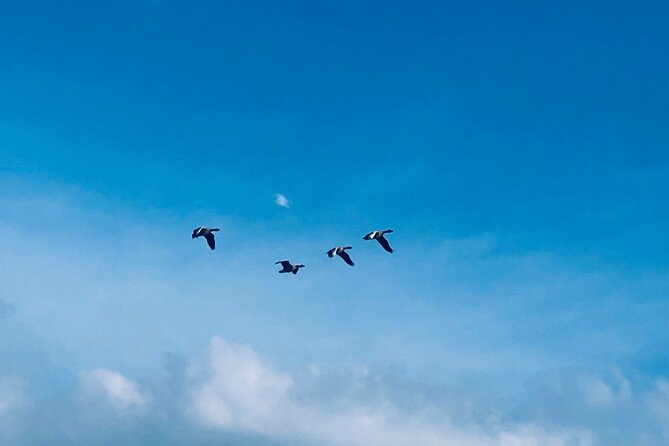 Customizable Private Tour Visting Dutch Villages Around Amsterdam - Common Questions