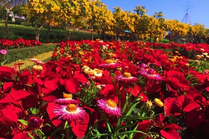 Customize Khao Yai Day Tour From Bangkok - Booking and Pricing