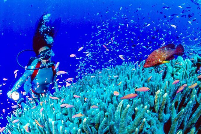 Customized 7 Days Philippines Family Tour from Manila - Good To Know