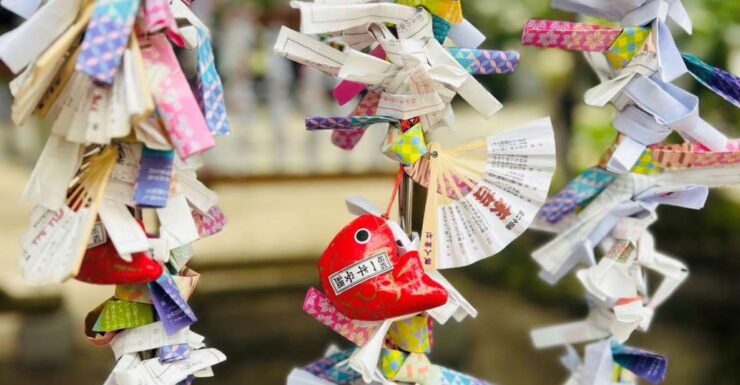 Customized Japanese Culture Experience Tour in Fukuoka - Booking Details and Cancellation Policy