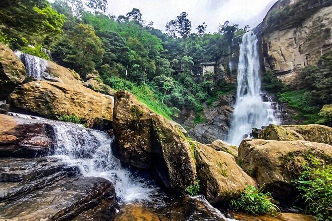 Customized Multi-Day Private Tour Packages in Sri Lanka - Who Would Love This Tour?