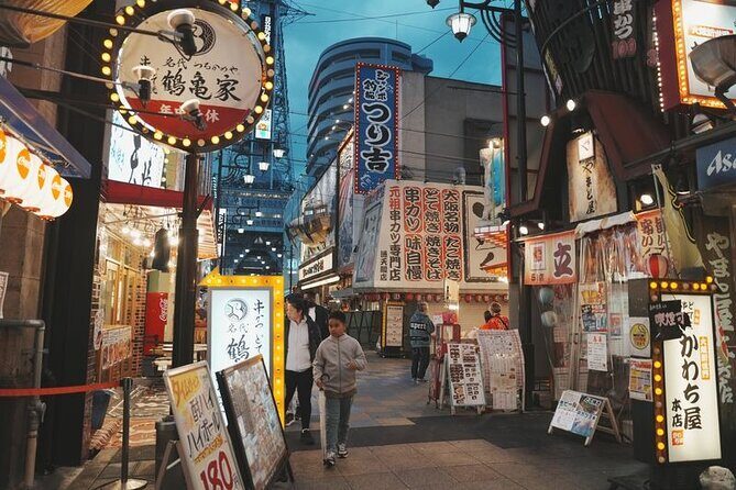 Customized Osaka Private Tour with Local Guide - Who Will Love This Tour?