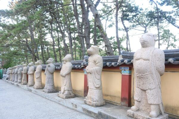 Customized Private Busan Tour With Licensed Agency and Guide - Spiritual Visit to Yonggungsa