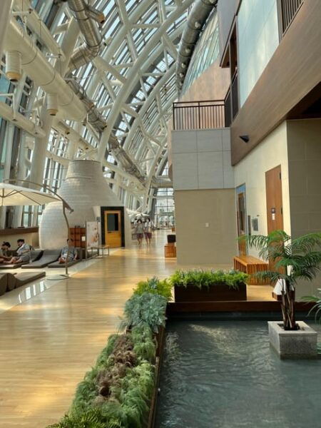 Customized Private Busan Tour With Licensed Agency and Guide - Local Flavors at Jagalchi
