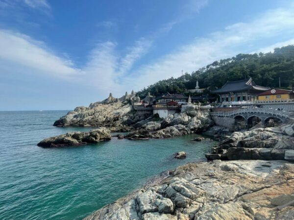 Customized Private Busan Tour With Licensed Agency and Guide - Questions You May Have