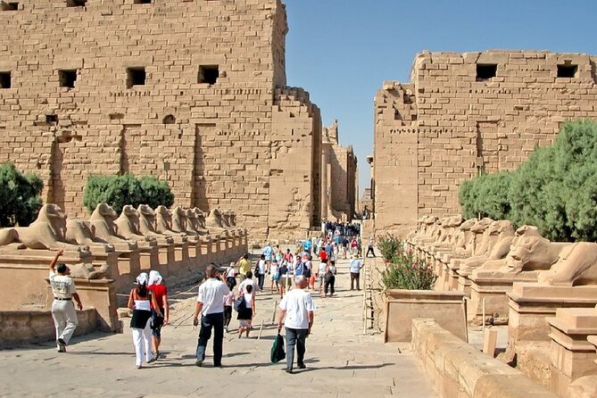 Customized Private Day Excursion of Luxor East Bank - Customer Reviews