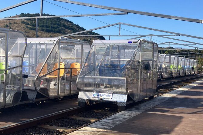 Customized Private Day Tour in Jeju - A Detailed Look at the Customized Private Day Tour in Jeju