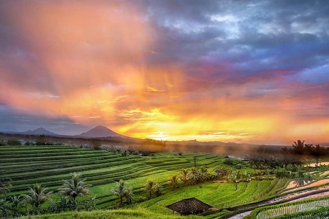 Customized Private Day Trip: Create Your Own Tour Itinerary - Choose Your Preferred Destinations