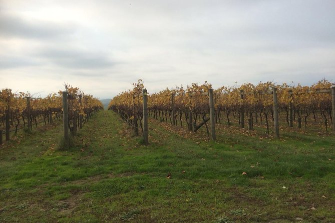 Customized Private Winery Day Tour in Mornington Peninsula at Your Own Choices - Pickup Points