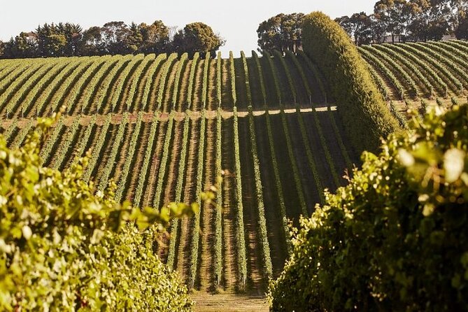 Customized Private Winery Day Tour in Mornington Peninsula at Your Own Choices - Tour Schedule