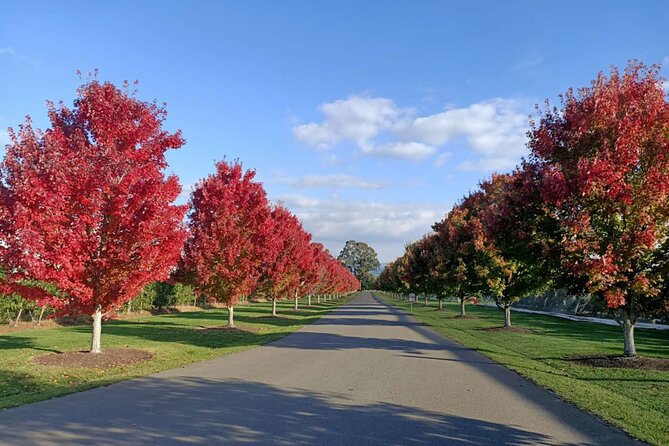 Customized Private Winery Day Tour in Yarra Valley at Your Own Choices - Private Transportation Included