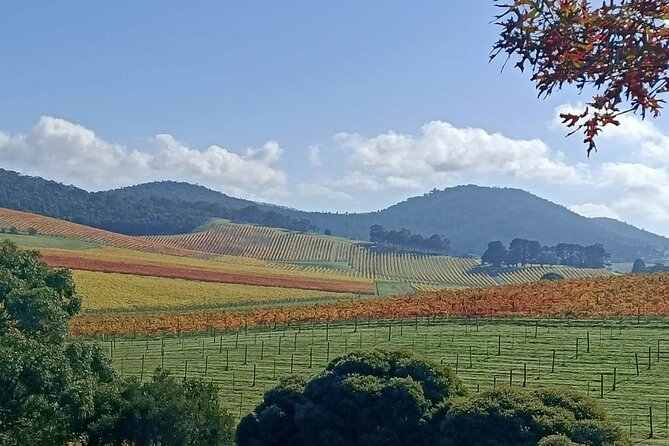 Customized Private Winery Day Tour in Yarra Valley at Your Own Choices - Budget-Friendly Options