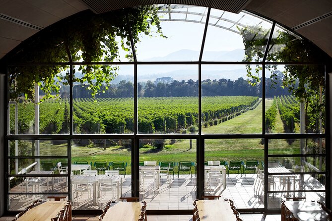 Customized Private Winery Day Tour in Yarra Valley at Your Own Choices - Tour Reviews
