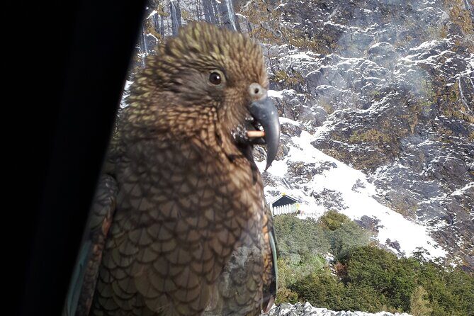 Customized South Island Tour - FAQs