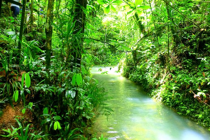 Customized Suva Day Tour - Customizable Itinerary