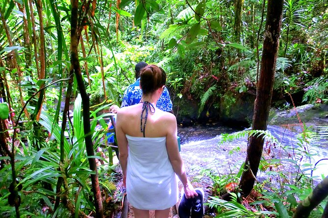 Customized Suva Day Tour - Swimming Beneath Waterfalls