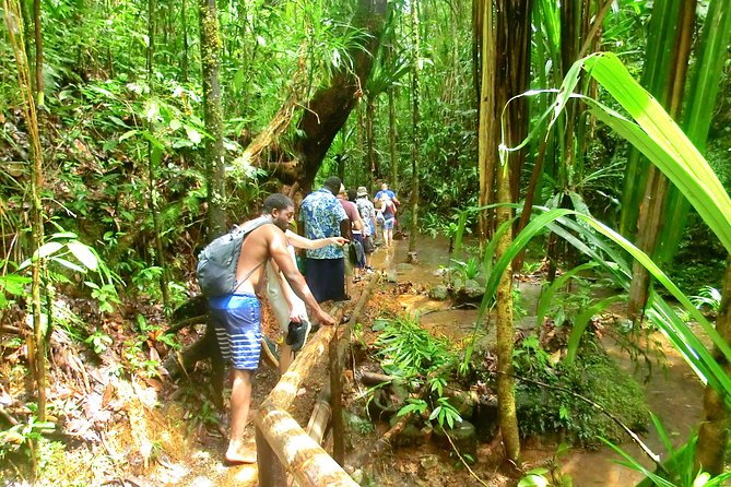 Customized Suva Day Tour - Private Tour Experience