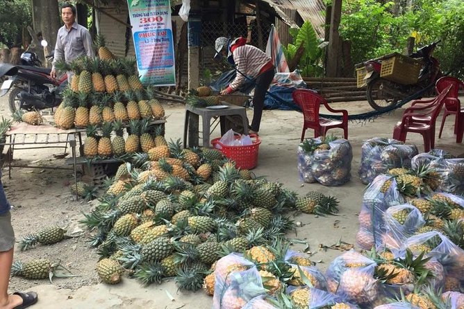 Customized Tours by Jeep - Half Day, Full Day and Multiple Days - Pickup and Logistics