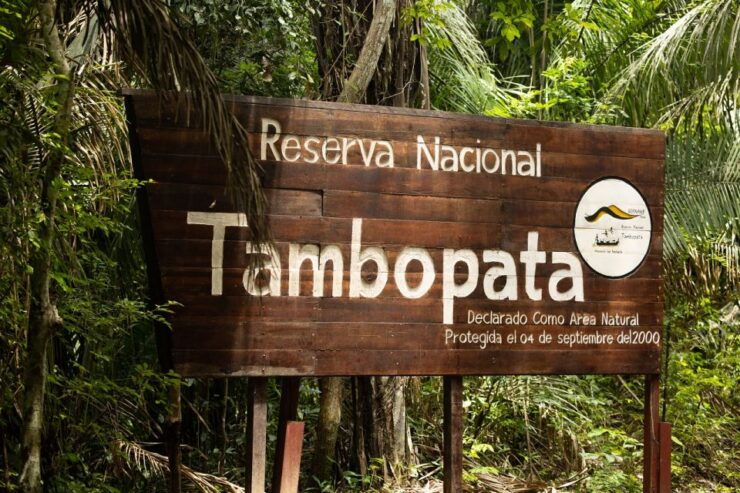 Customized Tours: Tambopata Adventure Rainforest 4d/3n - Experience and Activities