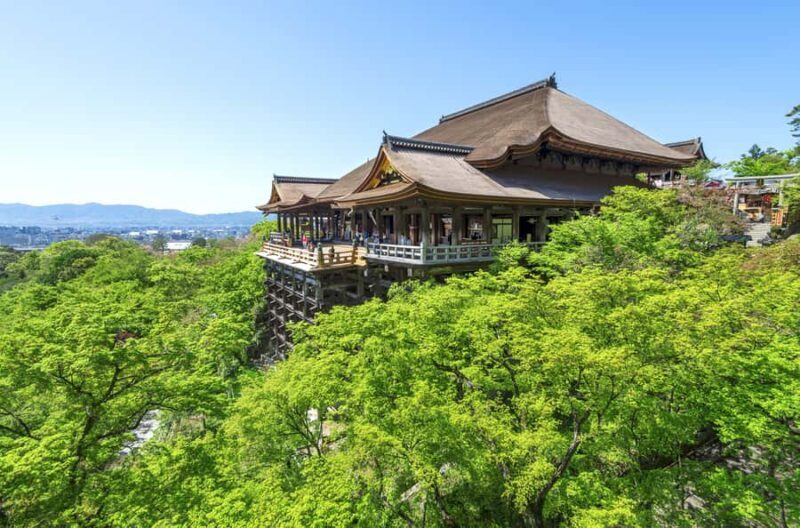 Cute Deer Tour: A One-Day Highlights Tour of Kyoto and Nara - Nara Park: Deer, Tranquility, and Ancient Temples