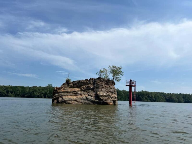 Cuti Brunei Muara Wildlife Cruise - An In-Depth Look at the Cuti Brunei Muara Wildlife Cruise