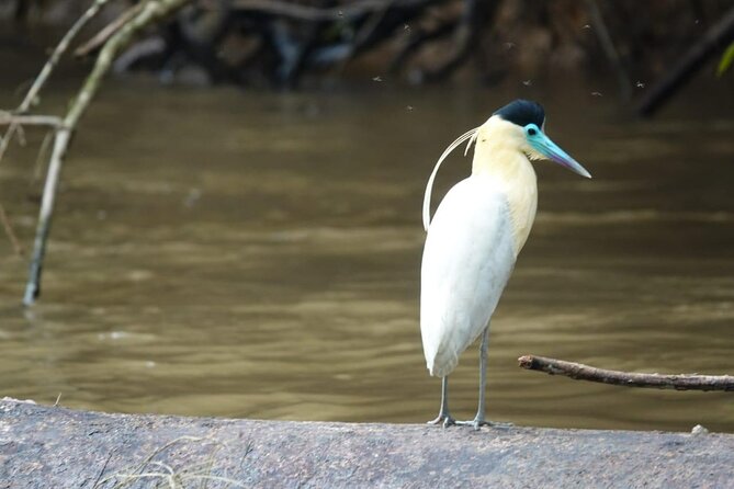 Cuyabeno Wildlife Reserve 4 Days 3 Nights - Activities and Excursions