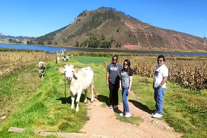 Cuzco, Peru Sacred Valley Culture and Adventure Tour on ATVs  - Cusco - Cancellation Policy