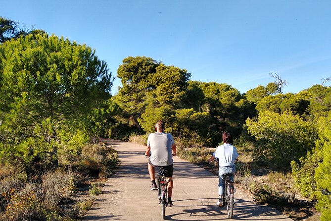 Cycle Albufera Lake, Rice Fields Paella and Boat Ride With Beach - Optional Add-Ons