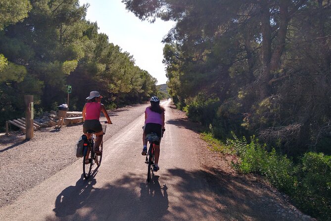 Cycle Benicassim Coast and Disused Train Line Via Verde - Tour Details