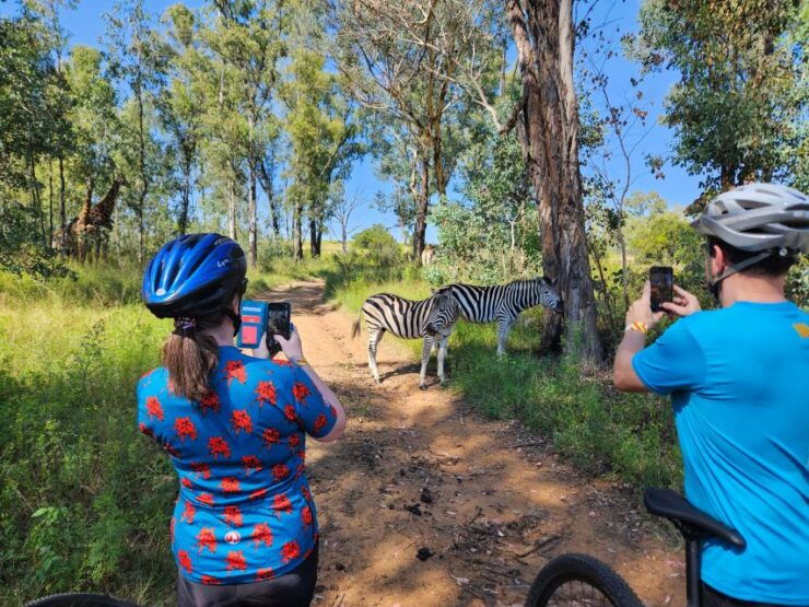 Cycle With Wild Animals (No Predators, Quality Cycles) - Experience Highlights