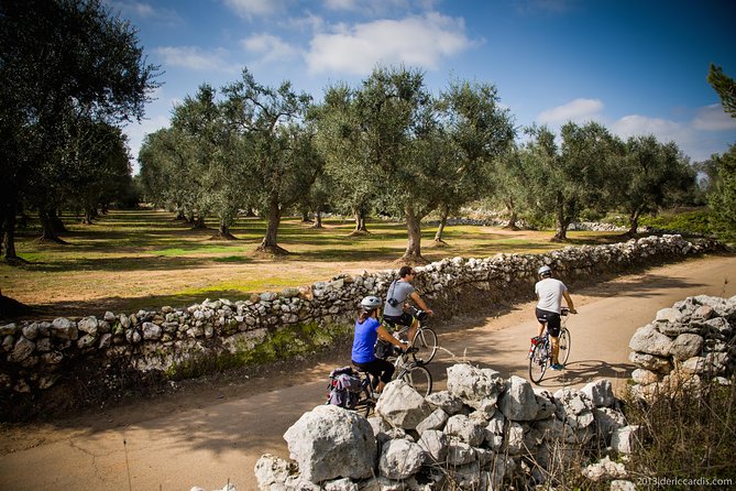 Cycling Across Salento: Capo Di Leuca 4-Hour Bike Tour - Inclusions Provided