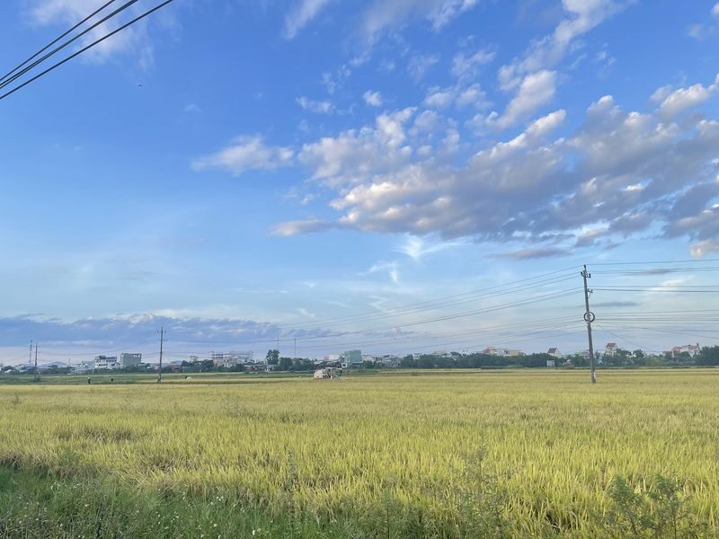 Cycling and Sunset River Cruise Experience in Hoi An - Who should book this ride?