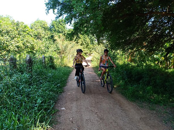 Cycling Around the Mekong Island and Lunch With Locals - Tour Highlights