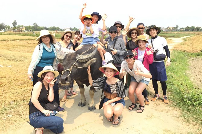 Cycling, Buffalo, Basket Boat Ride in Hoi an - Traveler Photos