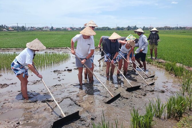 Cycling, Buffalo Ride and Basket Boat Tour in Hoi An - Tour Highlights