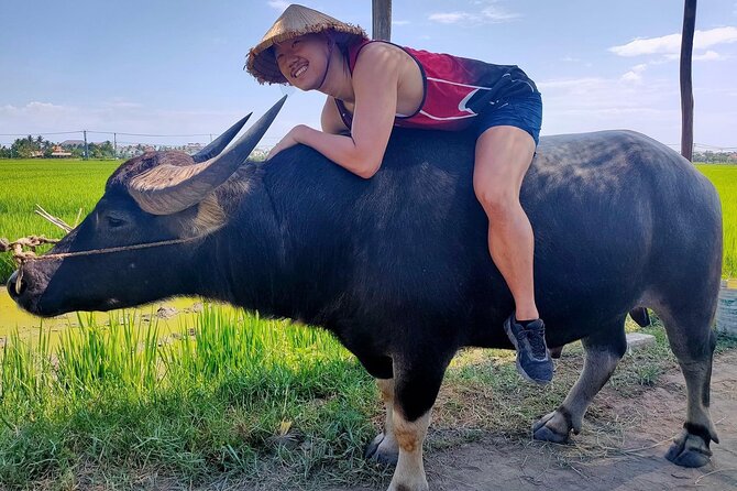 Cycling, Buffalo Ride and Basket Boat Tour in Hoi An - Common Questions