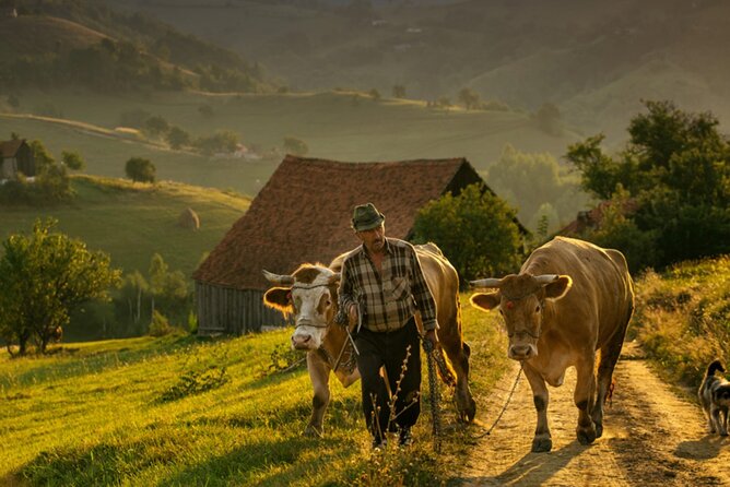 Cycling in Transylvania - Good To Know