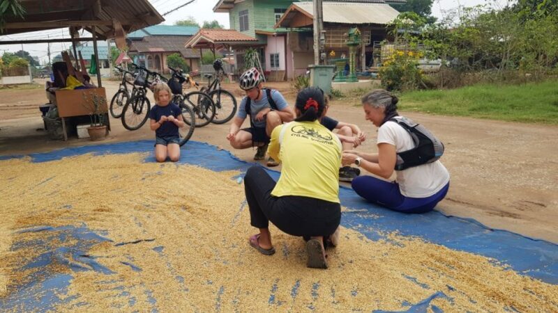 Cycling Sukhothai Full Day Countryside Tour - FAQ