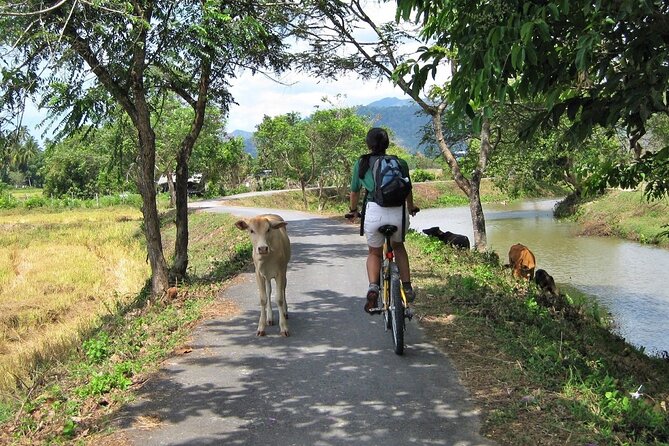 Cycling the Langkawi Nature Trails - Trail Overview