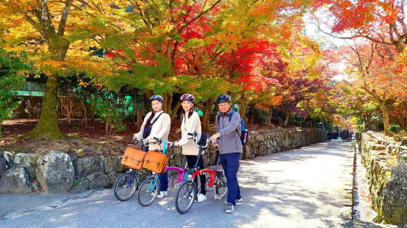 Cycling Tour at Uji's Matcha Green Tea Fields and Heritage - Good To Know