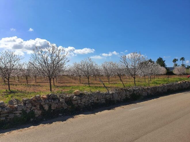 Cycling Tour From Coast to Coast - Inclusions