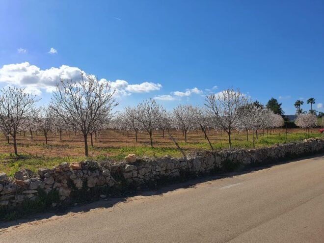 Cycling Tour From Coast to Coast - Scenic Cycling Paths