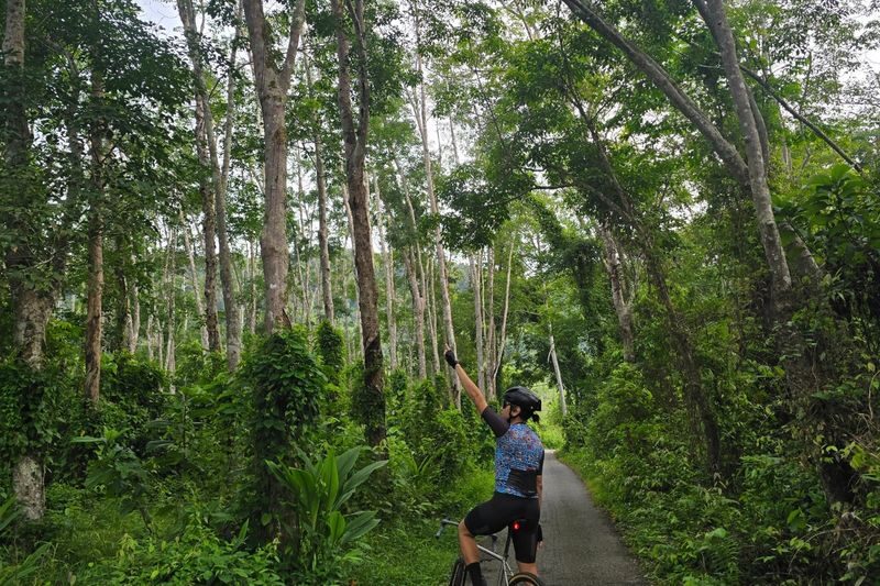 Cycling Tour in Langkawi by Mega Water Sports - Starting at Kak Yan Nasi Campur